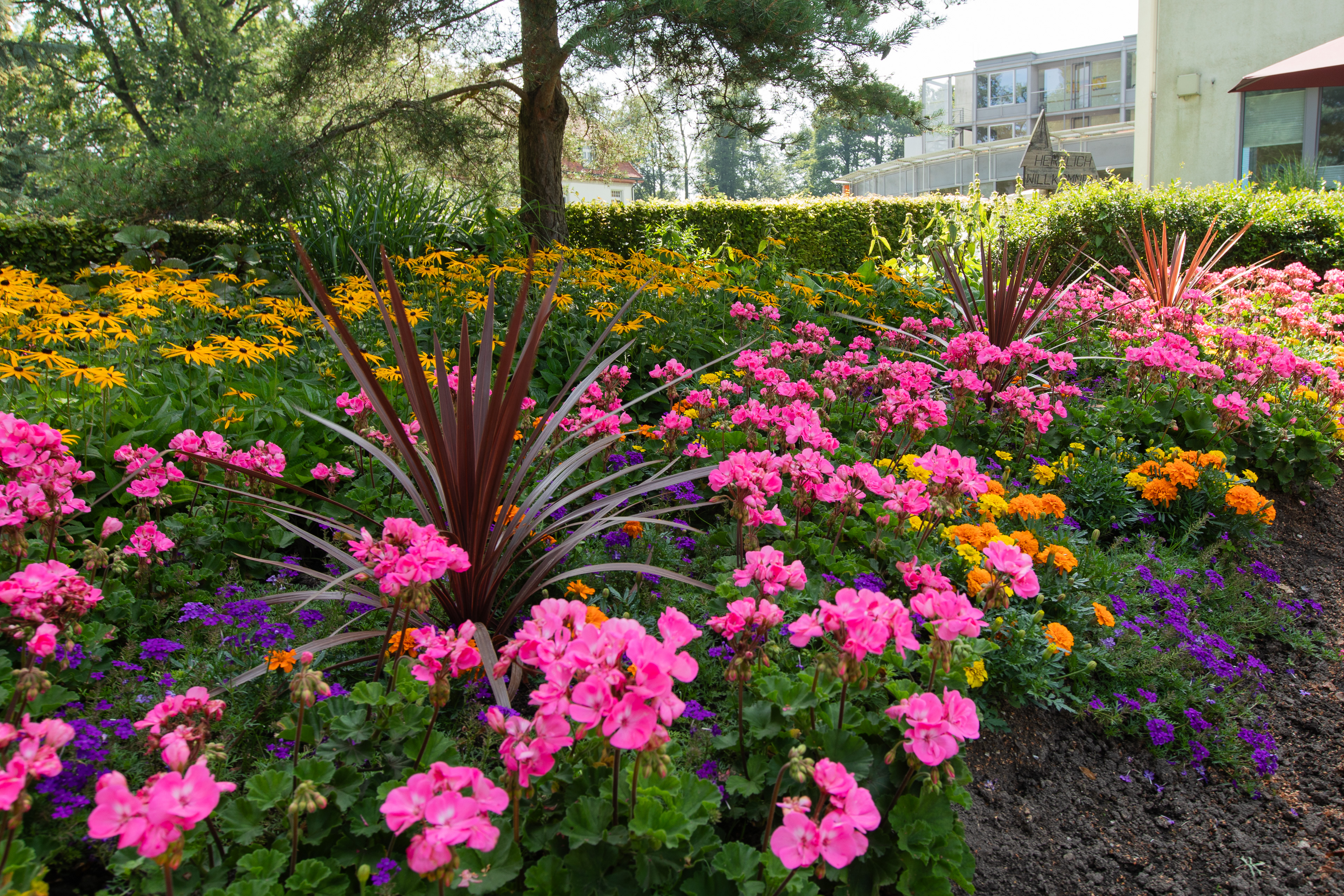 Blumenpracht vor dem Haus 3